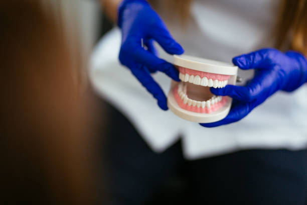 Best Dental Exams and Cleanings  in Bangor, ME